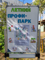 первые профессиональные пробы первые профессиональные пробы.